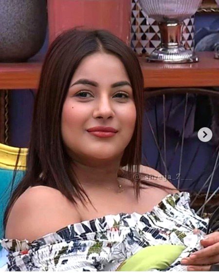 Indian Celebs image