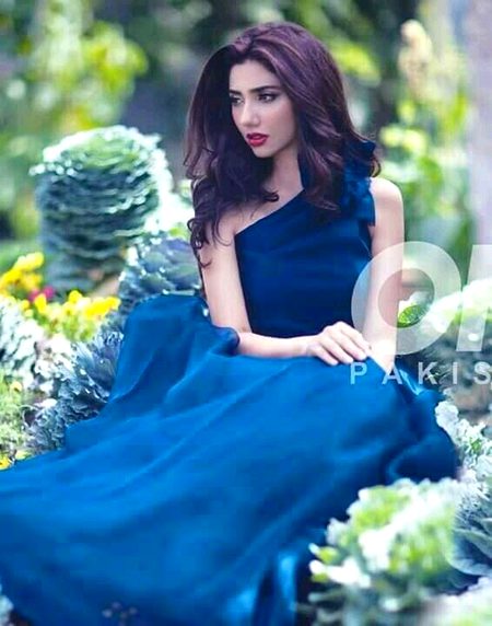 Pakistani celebrity