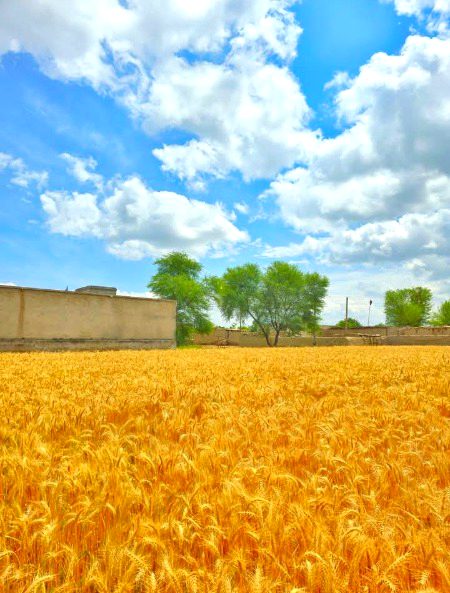 Beautiful Nature image