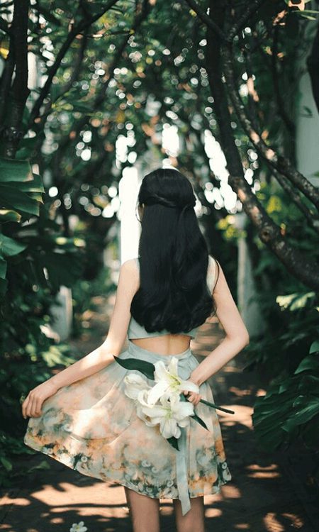 Beautiful Nature image