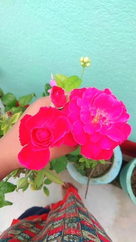 Beautiful Nature image