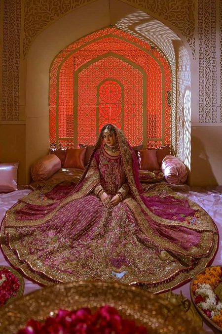 Pakistani Celebs image