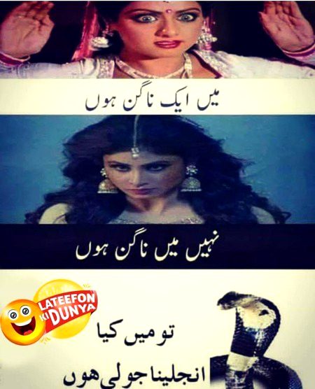 Memes & Satire image