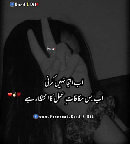 میں چاہوں تو ایک منٹ میں خرید لوں تم کو
پر کیا کروں میں نے کبھی کباڑ خریدا نہیں