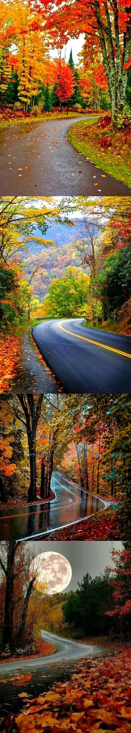 Beautiful Nature image