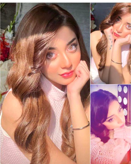 Pakistani Celebs image