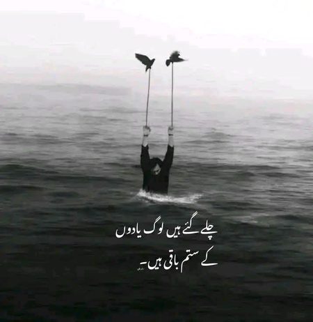 وہ  دل  نہیں  رہا  وہ  طبیعت   نہیں   رہی
وہ شب کو خون رونے کی عادت نہیں  رہی
محسوس  کر رہا ہوں میں جینے کی تلخیاں
شاید  مجھے  کسی  سے  محبت   نہیں