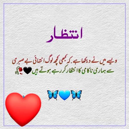 Bewakof log😡