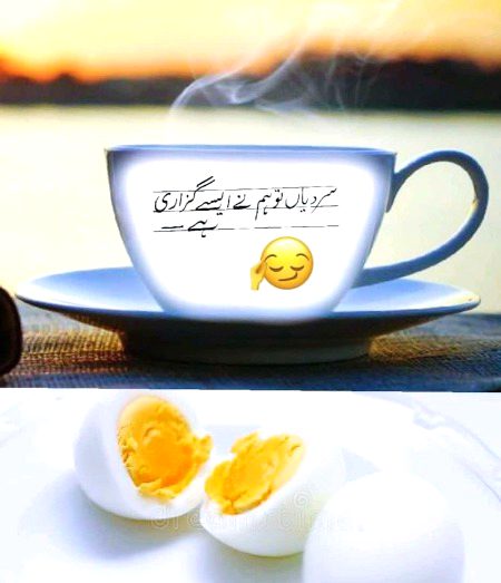 Memes & Satire image