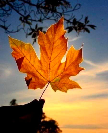 Beautiful Nature image