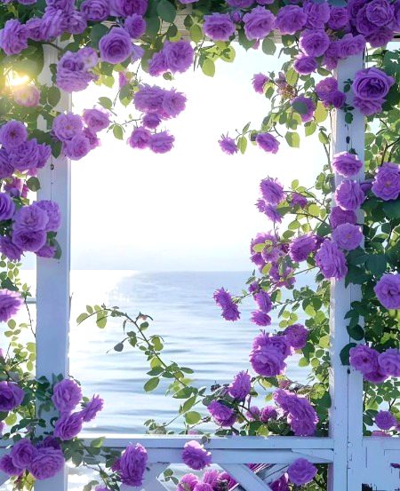 Beautiful Nature image