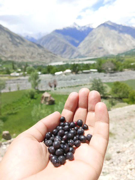 Beautiful Nature image