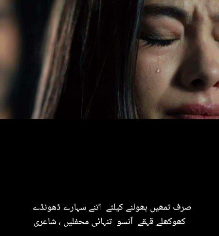صرف تمھیں بھولنے کیلئے  اتنے سہارے ڈھونڈے  
کھوکھلے قہقے  آنسو  تنہائی محفلیں ، شاعری