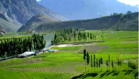 Beautiful Nature image