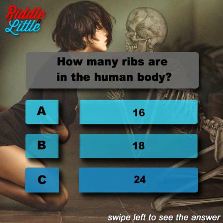 Knowledge Test image