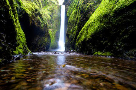 Beautiful Nature image