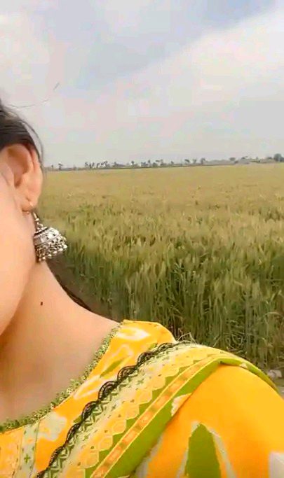 Beautiful Nature image