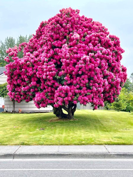 Beautiful Nature image