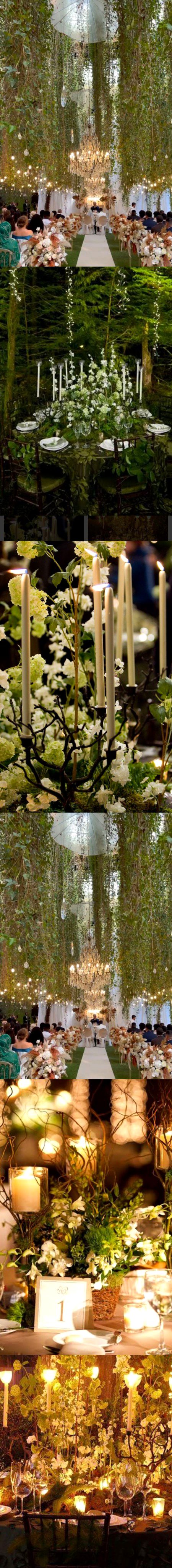 Beautiful Nature image