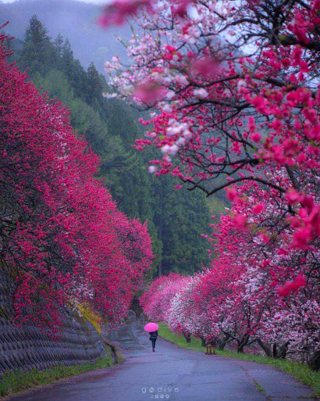 Beautiful Nature image