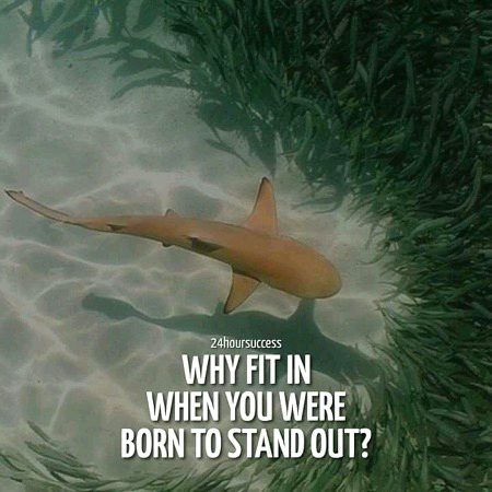 Attitude Quotes image