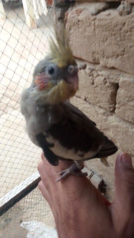 Beautiful Nature image