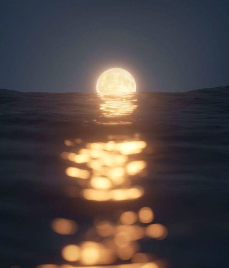 Beautiful Nature image
