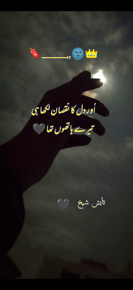 شاید تم ناواقف ہو میرے مزاج سے تیری توقع سے بھی زیادہ سر پھرا ہوں