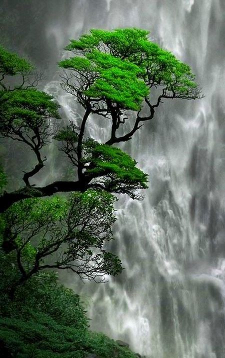 Beautiful Nature image