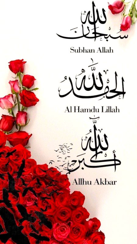Islamic Quotes image