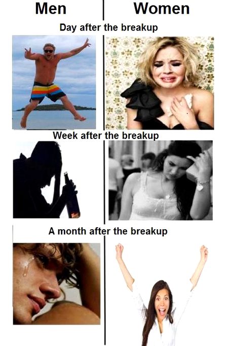 Memes & Satire image