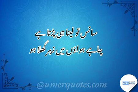 King sharing