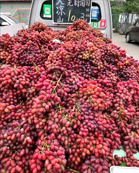 Beautiful Nature image