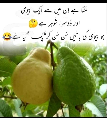 Jokes image