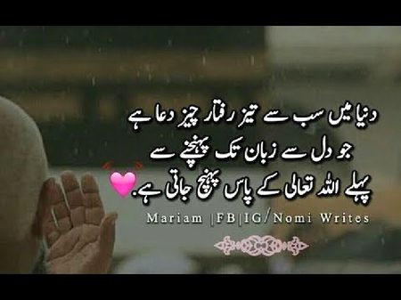 Dua Aesi Cheez HY