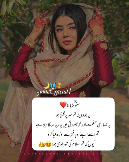 Attitude Poetry image