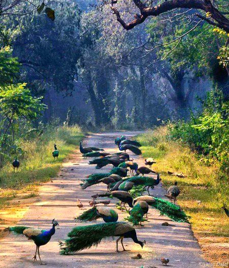 Beautiful nature💚💚💚