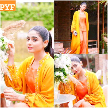 Pakistani Celebs image