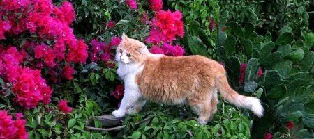 کبھی کبھی رب آپ کو صحرا میں تنہا چھوڑ دیتا ہے، تاکہ آپ کو زم زم ملے! 🌸🤍