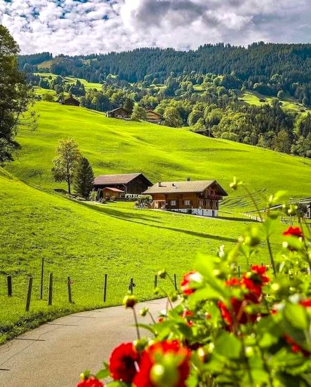 Beautiful Nature image