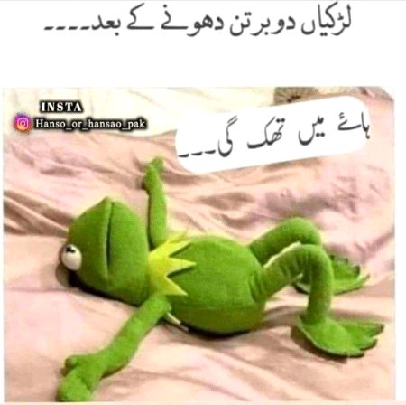 Memes & Satire image