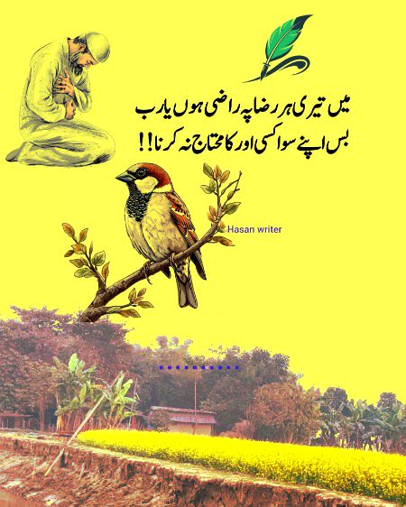 Islamic Quotes image