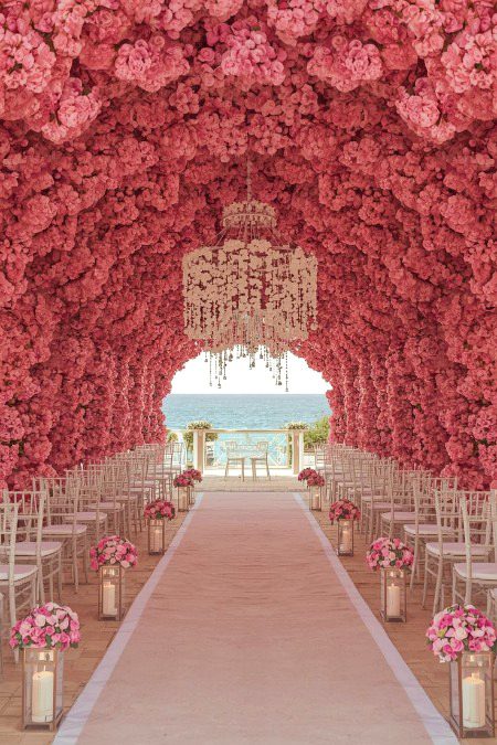 Beautiful Nature image