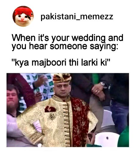 Memes & Satire image