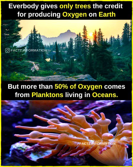 Interesting Posts image