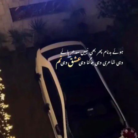 Mn mar b jaon to b tumhara he rhon ga Meri nakchiri ladli ullu 💝💝💝