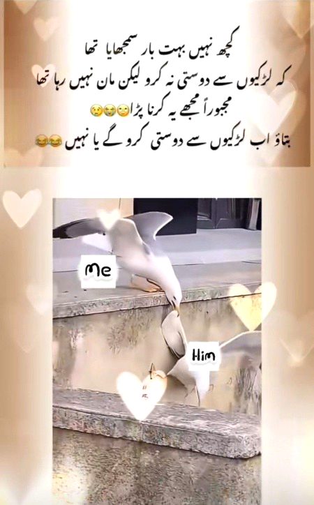 Khushboo😐😐