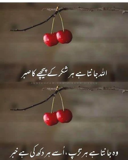 Islamic Quotes image