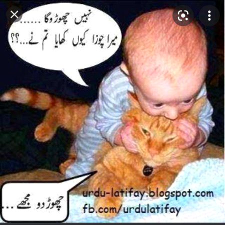 Memes & Satire image