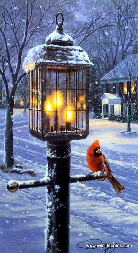 Beautiful Nature image